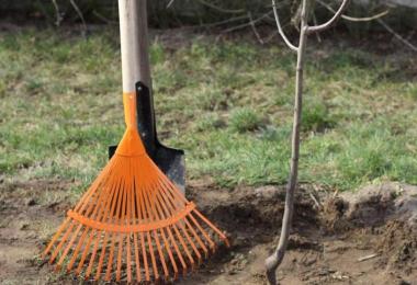 Как правильно сажать деревья и кустарники весной