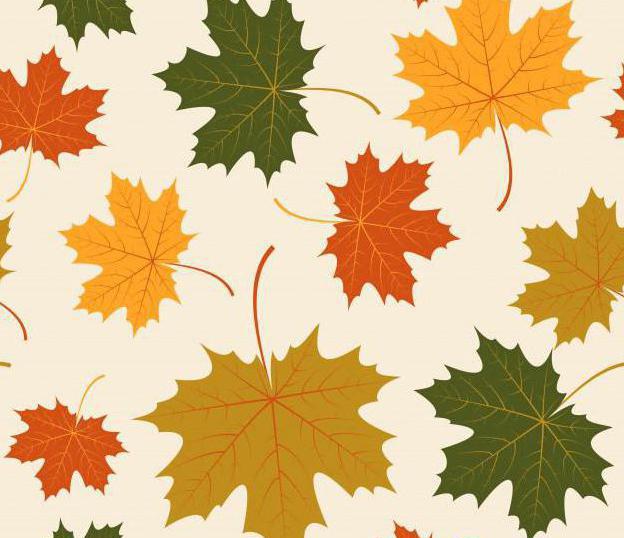 ما هي الألوان التي رسمت أوراق البتولا أوراق الشجر الخريف من البلوط