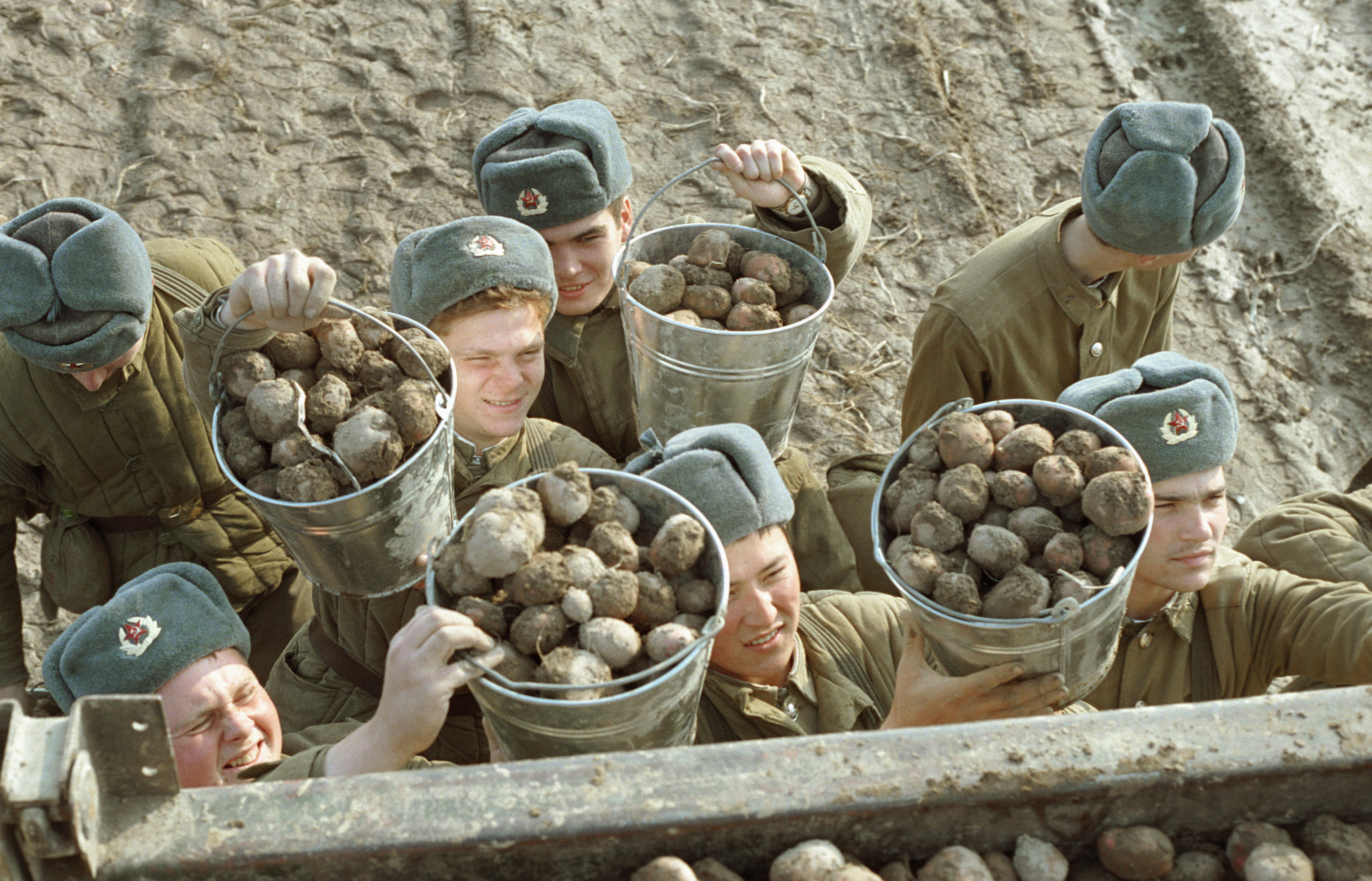 Солдатский труд фотография