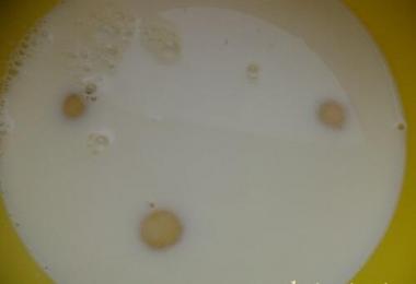 Los panqueques con leche son finos y muy sabrosos Cómo cocinar panqueques finos con leche, receta con foto paso a paso