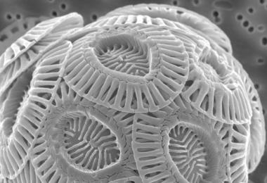 Obiecte obișnuite la microscop Structură de sticlă sub microscop
