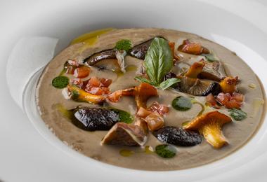 Recipes for the simplest and most delicious porcini mushroom dishes