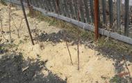 كيفية الحفاظ على الرطوبة في التربة خلال فترة الجفاف؟