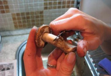 Как вкусно солить белые грибы на зиму в банках - простой рецепт с пошаговой инструкцией