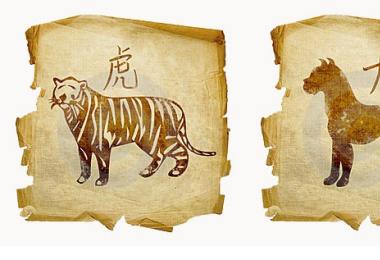 Dog and Tiger: compatibility of women and men in love and relationships